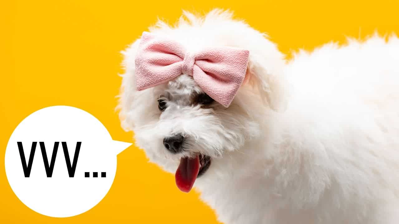 15 Tongue Twisters with V in 2024